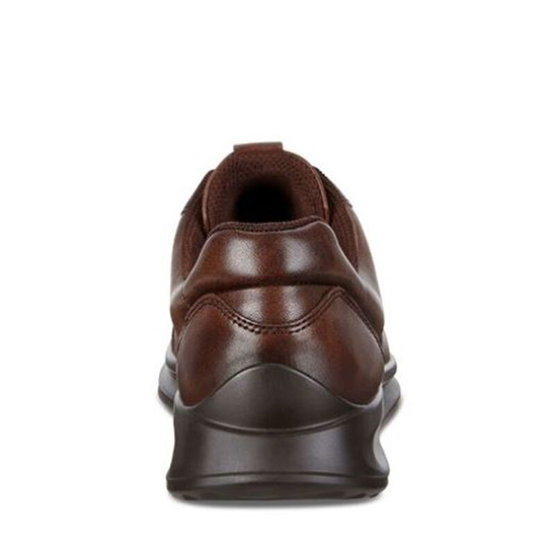 Ecco Aquet image number 2